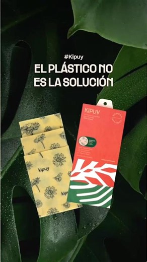Tus alimentos no necesitan plástico para conservarse 🌿✨ #VidaSostenible #Reusable #HogarSostenible