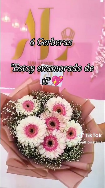 Significado de las Gerberas: ¿Qué representan?