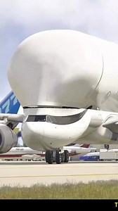 1.4M views · 10K reactions | Biggest cargo plane Airbus Beluga cargo plane #shorts #AirbusBeluga #CargoPlane #BelugaXL #AviationInnovation #LargeCargoTransport #AirFreight #BelugaTransport #AirbusInnovation Airbus Beluga Cargo plane BelugaXL Aviation innovation Large cargo transport Air freight Beluga transport Airbus innovation Outsize cargo Cargo aircraft | GD King | Facebook
