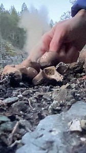 39K views · 2.3K reactions | My earliest memories of #mushrooms were...