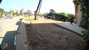 Filmed by: Tyler McCluskey Primitive Skateboarding | Paul Rodriguez