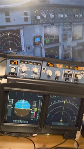 EFIS Panels in Flight Simulator: Save Money