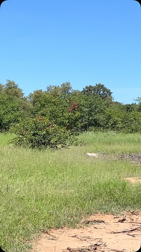 26K views · 5.8K reactions | Update on our earlier post: Head Guide...