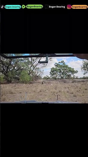 Long weekend dogging