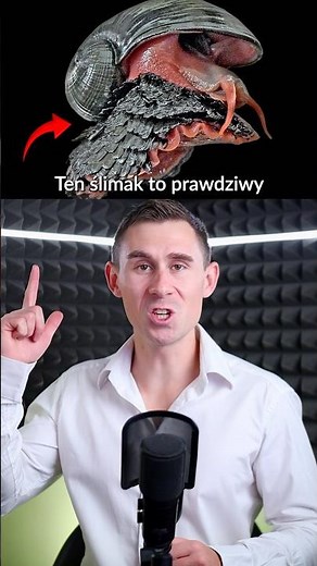 This snail is a real Pokemon