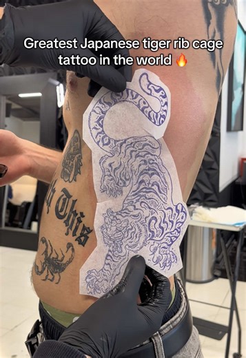 Stunning Japanese Tiger Tattoo Design for Your Rib Cage