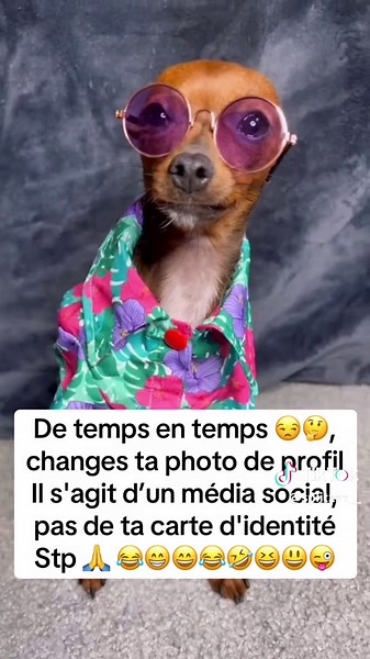 Vidéos de Splitz (@splitzzz__) avec Sapés comme jamais (feat. Niska) (Pilule bleue) - GIMS