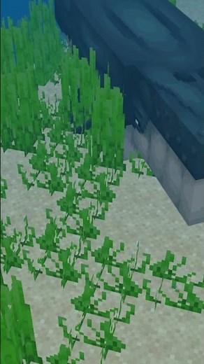 WHALE In Minecraft Bedrock! (Minecraft Marketplace)