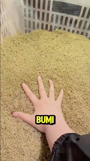 HAVE YOU EVER EATEN THIS ANIMAL ⁉️#viralvideo #cool #information