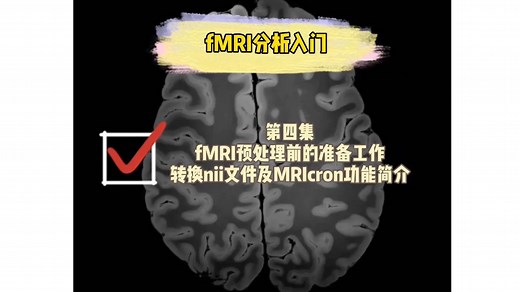 fMRI分析入门-4: fMRI预处理前的准备工作-转换nii文件及MRIcron功能简介