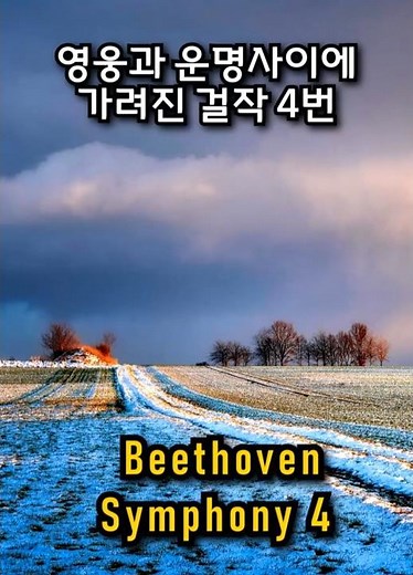 "Sunny" Beethoven Symphony No.4 - 4.Mov / 베토벤 교향곡 4번 4악장 도입부 #fullscore