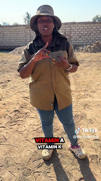 Broilers vs Layers in Poultry Farming