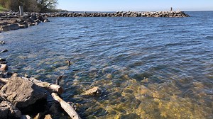 Lake Winnebago survey shows strong perch, crappie populations