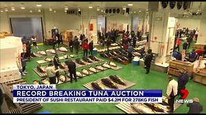 Record breaking tuna auction