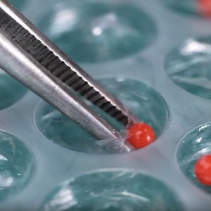 435K views · 168 reactions | Orbeez + bubble wrap — does this actually work?❣️ | 5-Minute Crafts Family | Facebook