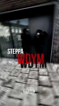 steppa - WDYM (official audio )