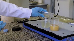 Author Spotlight: Process Development for the Spray-Drying of Probiotic Bacteria and Evaluation of the Product Quality