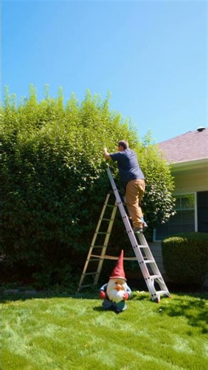 When a gnome greases the ladder!!