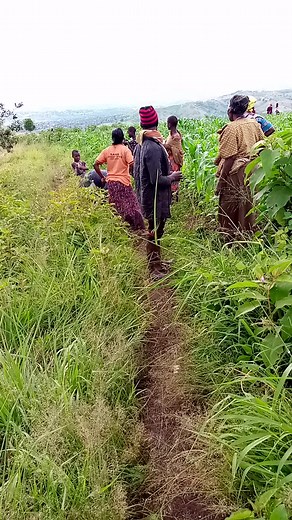 Joshua King on TikTok