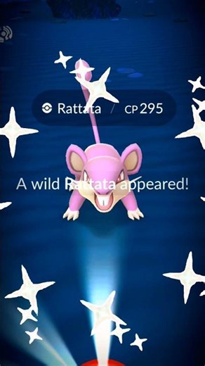 INSANE Wild Shiny Rattata Encounter in Pokémon GO! #games #pokemongo