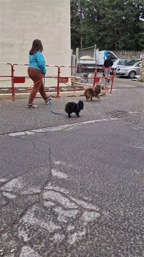 Aix-en-Provence & Gordes 🇫🇷 le plus beau village de France | the most beautiful village in france🌿