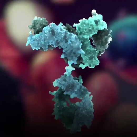 Science Archives ✓ on TikTok