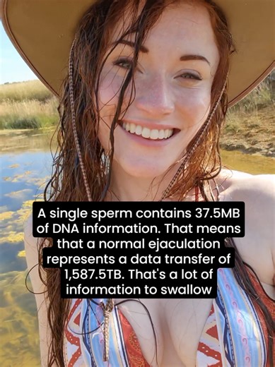 Understanding the Data in Human Sperm