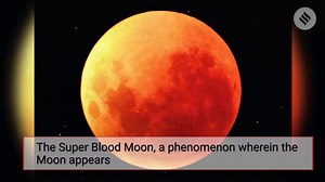 20K views · 74 reactions | Here is everything to know about the Super Blood Wolf Moon Eclipse that's happening in the month of January 2019, from when to expect it and what exactly you'll see. See more: https://bit.ly/2IM1j4c | Indian Express | Facebook