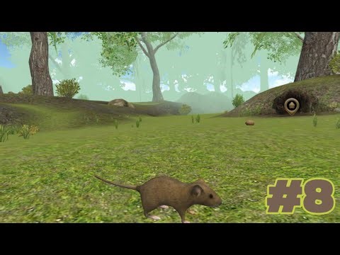 Конец - Mouse Simulator : Forest Home #8