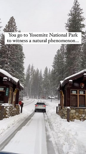 Jeanine Romo | California | Adventure Travel | Your Yosemite Firefall Guide ⤵️ 🔥The Firefall is a natural phenomenon that happens when the sunlight backlights Horsetail Falls causing a... | Instagram