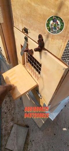 Sun Conure Breeding Box Secrets Revealed! — Size, Price, Amenities!"