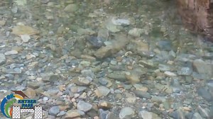 32K views · 2.5K reactions | Desi Fish at Ali Masjid | Khyber Pass | Facebook