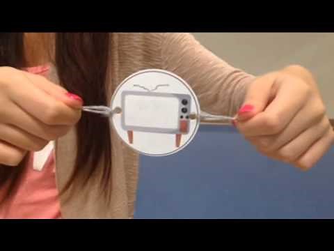 Animation History - Thaumatrope