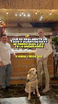 What is a taco really, and how many are there? My guide dog and I show you 🌮🐾