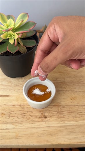 564K views · 6.7K reactions | Mix salt with honey | Pepper tips | Facebook