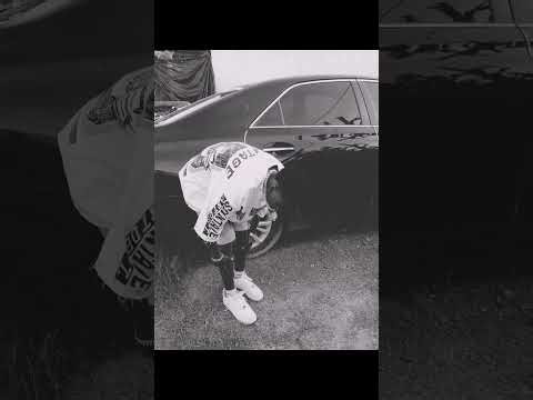 Wizy Abana6point software frestly mp3