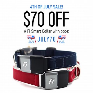 101K views · 49 reactions |  This Fourth of July weekend, get $70 off the Fi Series 2 Smart Collar with code JULY70. | Fi | Facebook