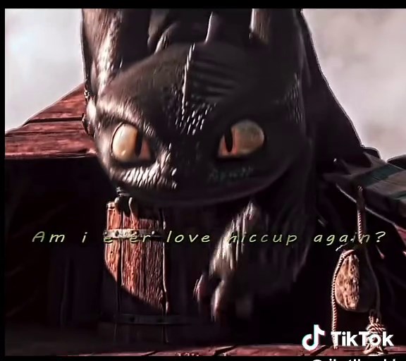 Toothless and Hiccup's Heartwarming Scenes