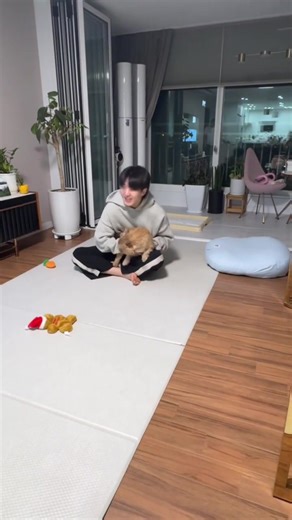 Hoshi’s Adorable Clips with Latte on Weverse | SEVENTEEN