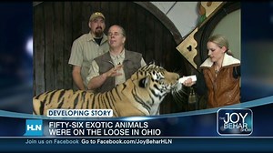 Tiger expert: Animal owner went too far