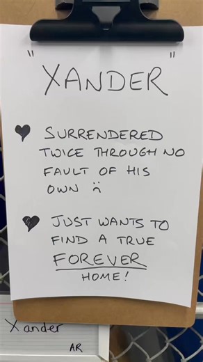 107K views · 2.3K reactions | Dear Xander has been let down by two...