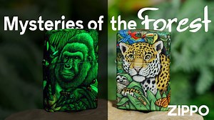 91K views · 913 reactions | Join us in celebrating the 25th anniversary of our beloved Mysteries of the Forest Collectible with our just-released Collectible Set. Featuring our new Glow-in-the-Dark finish and 540 Color process, this two-lighter set is consecutively numbered and limited to just 12,000. And for every set sold, a tree is planted to preserve and protect vital natural habitats for future generations. Buy yours here: https://fal.cn/3bgmg | Zippo | Facebook