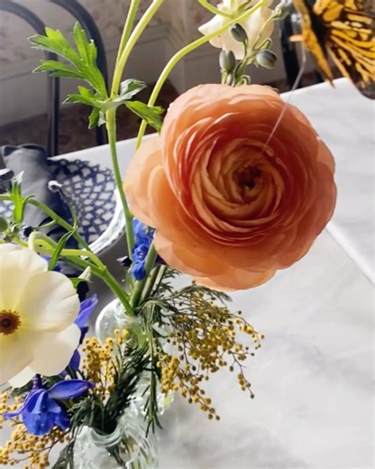 HARLEY ROSE FLORAL on Instagram: "flutterby sweetness & some solid lighting 🦋 in the shop 11~4p 🍓 don’t forget to get those Vday orders in!"