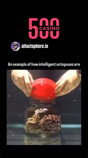 aifactsphere.io | An example of how intelligent octopuses are can be seen in their remarkable problem-solving abilities and adaptability in the wild.... | Instagram