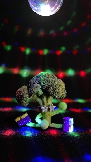Disco Broc