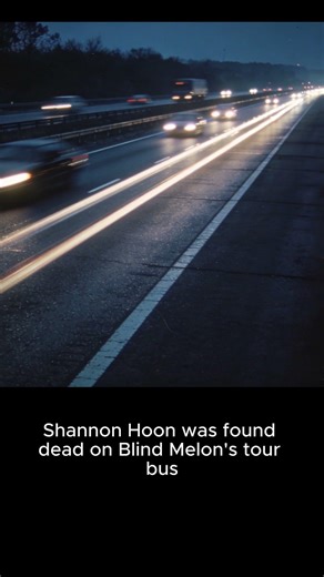 The Night Shannon Hoon Died