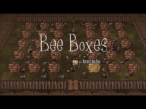 DST Tips: Bee Boxes