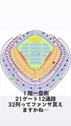 Seventeenの東京ドームライブ体験とファンサ