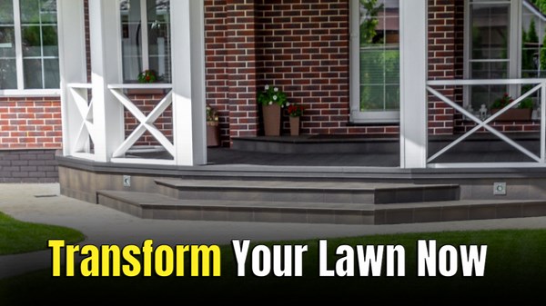 10 Groundcover Ideas That Beat Boring Grass