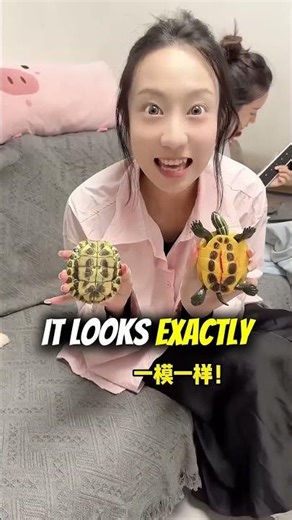 How dare you call me nosy 🤣 #funny #friends #scary #comedy #challenge #goodvibes #horror #happy